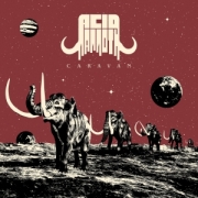 Acid Mammoth: Caravan