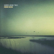 Søren Bebe Trio: Here Now