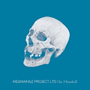Meanwhile Project LTD: Sir Mandrill