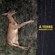 À Terre: Embrasser La Nuit