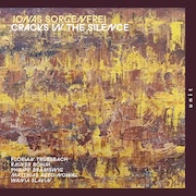 Jonas Sorgenfrei: Cracks In The Silence